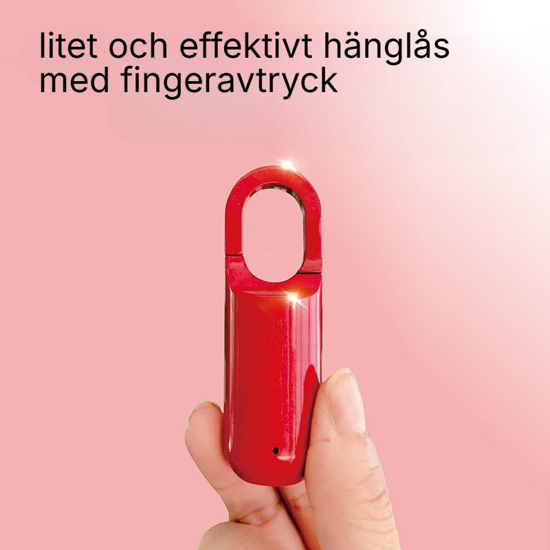 Hänglås med fingeravtryck